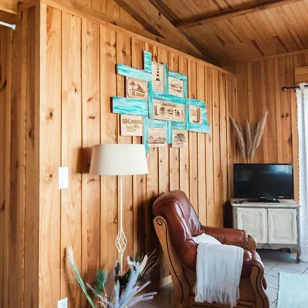 Frenchyhomes☆Chaletdubassin☆Nature☆Wifi Chalet Biganos