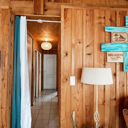 Frenchyhomes☆Chaletdubassin☆Nature☆Wifi Biganos